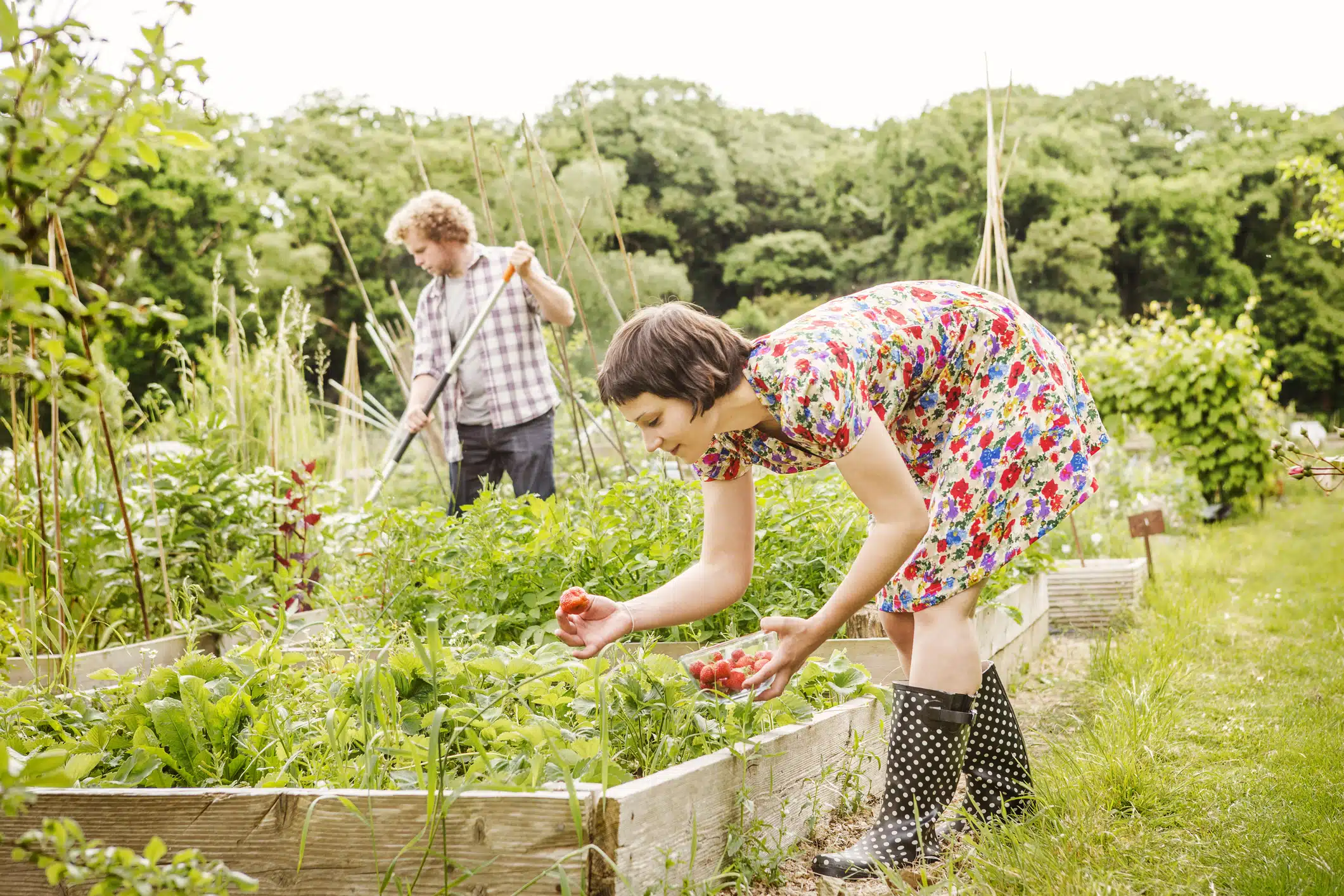 Bien entretenir son jardin